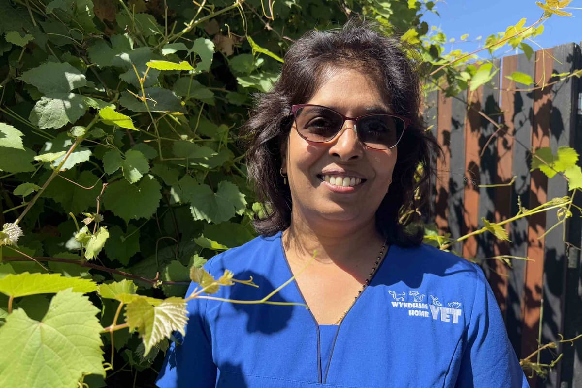 Portrait of Dr Smitha Rose Georgy